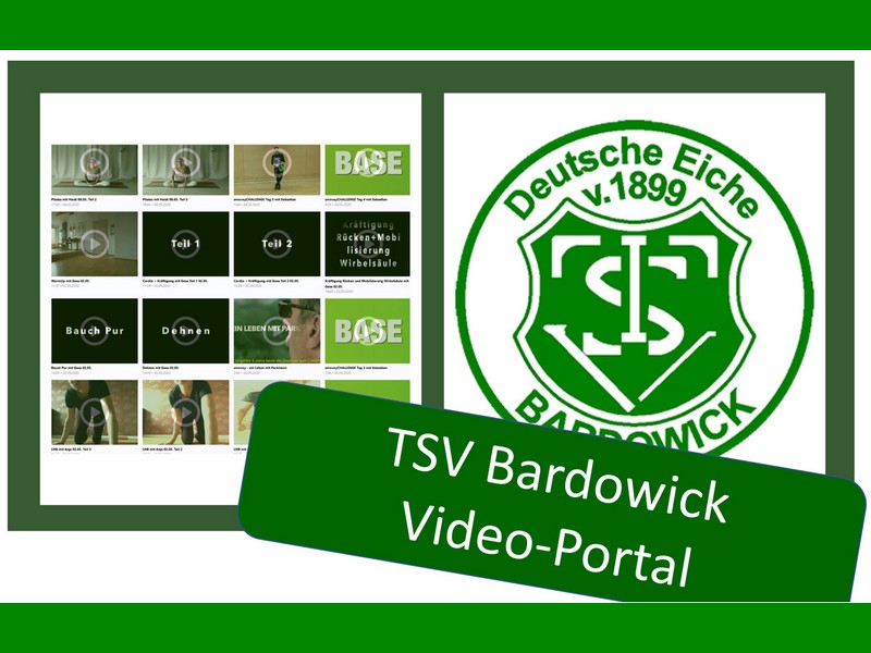 TSVBardowick Video Portal November 800x600