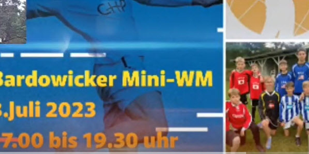 Bardowicker Mini-WM im Faustball